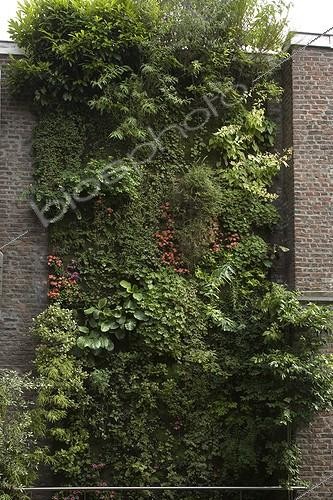 Biosphoto | 704626 | Vertical city garden | &copy; NouN / Biosphoto
