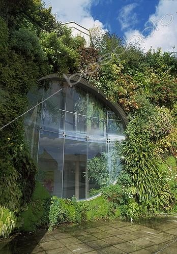 Biosphoto | 997386 | Vertical garden at the Cultural Forum in Blanc-Mesnil France ; Created: Patrick Blanc | &copy; Gilles Le Scanff & Joëlle-Caroline Mayer / Biosphoto