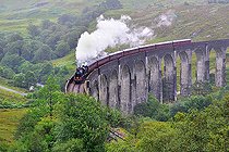 Biosphoto | 2583194 | Viaduc de Glenfinnan, train de Harry Potter, Highlands, Ecosse, RU | &copy; Robin Fourré / Biosphoto