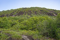 Biosphoto | 2583246 | View from the Inselberg in the Nouragues nature reserve. View from the first terrace of the inselberg, with the summit in the photo, accessible after a 2-hour walk. Inselbergs, also known as 