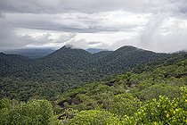 Biosphoto | 2583270 | View from the Inselberg in the Nouragues nature reserve. View of the entire forest and canopy from the top of the inselberg. Inselbergs, also known as 