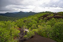 Biosphoto | 2583272 | View from the Inselberg in the Nouragues nature reserve. View of the entire forest and canopy from the top of the inselberg. Inselbergs, also known as 