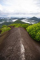 Biosphoto | 2583274 | View from the Inselberg in the Nouragues nature reserve. View of the entire forest and canopy from the top of the inselberg. Inselbergs, also known as 