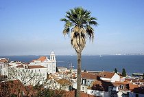 Biosphoto | 1600496 | View over the Alfama district with the church of Santo Estevao, Lisbon, Portugal, Europe | © Silvana Guilhermino / imageBROKER / Biosphoto