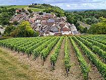 Biosphoto | 2463126 | Village vigneron des Loges, production du vin Pouilly fumé, Nièvre, Val de Loire, France | &copy; Pierre Vernay / Biosphoto
