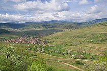 Biosphoto | 2393616 | Villages and hills with Strangenberg vineyars, Westhalten, Haut-Rhin, Alsace, France | &copy; Bruno Mathieu / Biosphoto