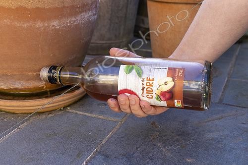 Biosphoto | 2556930 | Vinaigre de cidre dilué et mélangé à l'eau d'une coupelle afin d'éliminer les larves de moustique. | &copy; Yann Avril / Biosphoto