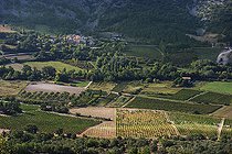 Biosphoto | 2419848 | Vineyard of the Dentelles de Montmirail in Beaume-de-Venise, Provence, France | &copy; Michel Rauch / Biosphoto