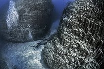 Biosphoto | 2583290 | Volcanic underwater bottoms. True seamounts can be seen in the image, a natural monument made of basaltic columns called a columnar disjunction. The highest point is about 15 meters below the surface of the Atlantic Ocean and drops vertically to more than 40 meters at its deepest point. The place is known as La Rapadura on the coast of Santa Úrsula, north of the island of Tenerife. Seabed of the Canary Islands. | &copy; Sergio Hanquet / Biosphoto