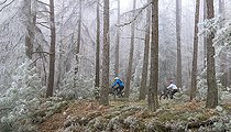 Biosphoto | 2496029 | VTT dans la forêt hivernale, Parc naturel régional des Vosges du Nord, France | &copy; Michel Rauch / Biosphoto
