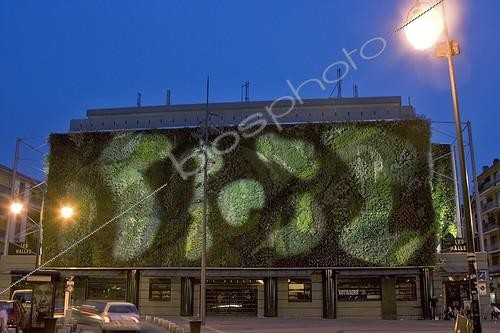 Biosphoto | 159229 | vue de nuit d'un jardin vertical Provence France juin ; réalisation de Patric Blanc sur la façade nord des Halles d'Avignon | &copy; Pierre Huguet-Dubief / Biosphoto
