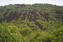 Biosphoto | 2583248 | Vue de puis l'Inselberg de la réserve naturelle des Nouragues. Point de vue depuis la première terrasse de l'inselberg, sur la photo le sommet accessible en 2h de marche. Les Inselbergs, aussi appelés « savanes-roches » en Guyane peuvent également se présenter comme de grandes étendues plus ou moins plates de granit dénudé. - Régina, Guyane Française | &copy; Vincent Premel / Biosphoto