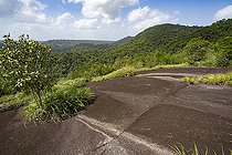 Biosphoto | 2583247 | Vue depuis l'inselberg de la réserve naturelle des Nouragues. Point de vue depuis les terrasses de sommet de l'inselberg où l'on surplombe la canopée avec un vue a 360 degrés. Les Inselbergs, aussi appelés « savanes-roches » en Guyane peuvent également se présenter comme de grandes étendues plus ou moins plates de granit dénudé. - Régina, Guyane Française | &copy; Vincent Premel / Biosphoto