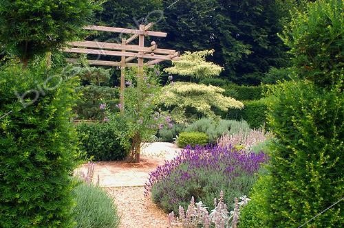 Biosphoto | 60075 | Vue d'un jardin structuré aux Jardins de Plantbessin en été | &copy; Frédéric Didillon / Biosphoto