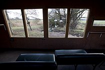 Biosphoto | 1251014 | Vue d'un passage caché WWT Slimbridge Reserve RU | &copy; Michel Gunther / Biosphoto