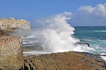 Biosphoto | 1532977 | Walker Bay, Hermanus, South Africa, Africa | &copy; Walter G. Allgoewer / imageBROKER / Biosphoto