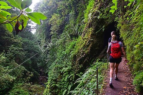 Biosphoto | 2592009 | Walkers along the PR 16 Ribeira di Inferno hiking trail which follows an irrigation channel or levada for several kilometers. Sao Vicente. Madeira island. Portugal. | &copy; Antoine Lorgnier / Biosphoto