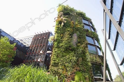 Biosphoto | 427943 | Wall plant at Musee des Arts Premiers Paris France | &copy; Claudius Thiriet / Biosphoto