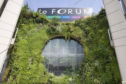 Biosphoto | 427951 | Wall plant in the Cultural Forum Blanc Mesnil Paris France | &copy; Claudius Thiriet / Biosphoto