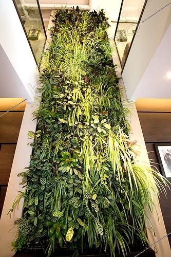 Biosphoto | 956422 | Wall planted House ecological France | &copy; Pascal Greboval / Biosphoto