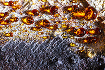 Biosphoto | 2621367 | Water droplets observed up close on the surface of the forest floor litter, Bessenay, Rhône, France. | &copy; Philippe Lebeaux / Biosphoto