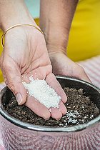 Biosphoto | 2440505 | Water retentant delivery to the indoor plant substrate. | &copy; Jean-Michel Groult / Biosphoto