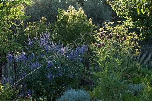 Biosphoto | 1797097 | Watering of aromatic plants garden | &copy; Philippe Giraud / Biosphoto