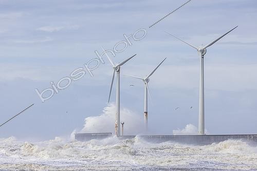 Biosphoto | 2579483 | Waves hitting the wind turbines on the Carnot dyke in Boulogne-sur-mer, during storm Pierrick, Pas-de-Calais, Côte d'Opale, France | &copy; Yann Avril / Biosphoto