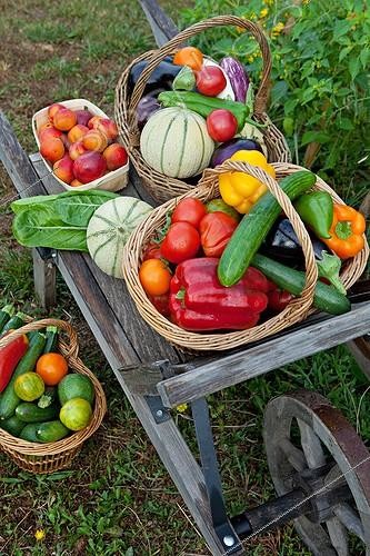 Biosphoto | 1018146 | Wheelbarrow fruit and vegetable garden in Provence France | &copy; Philippe Giraud / Biosphoto