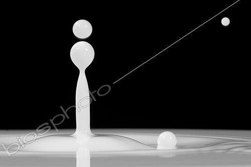 Biosphoto | 2124729 | White water drops falling on black background | &copy; Joël Héras / Biosphoto