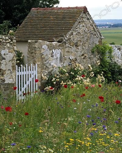 Biosphoto | 640307 | Wild garden in spring | &copy; Gilles Le Scanff & Joëlle-Caroline Mayer / Biosphoto