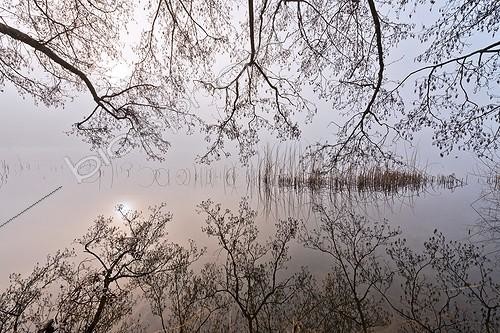 Biosphoto | 1988661 | Winter lights on the lake de Barterand - Bugey France  | &copy; Jean-Philippe Delobelle / Biosphoto