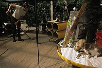 Biosphoto | 365896 | Woman cleaning a cattery Nièvre France | &copy; Gil Chamberland / Biosphoto