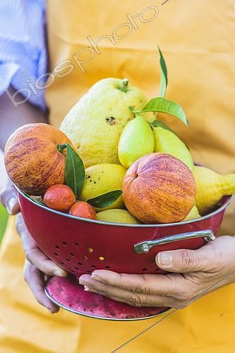 Biosphoto | 2435509 | Woman holding a varied citrus crop | &copy; Jean-Michel Groult / Biosphoto