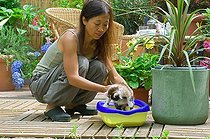 Biosphoto | 423703 | Woman learning to a kitten the neatness | &copy; Frédéric Didillon / Biosphoto