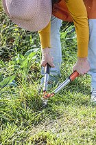 Biosphoto | 2440536 | Woman practicing ecological weeding with cardboard and straw. 1: Cut the grass at the lowest. | &copy; Jean-Michel Groult / Biosphoto