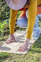 Biosphoto | 2440537 | Woman practicing ecological weeding with cardboard and straw. 2: Place a clean corrugated cardboard on the grass. | &copy; Jean-Michel Groult / Biosphoto