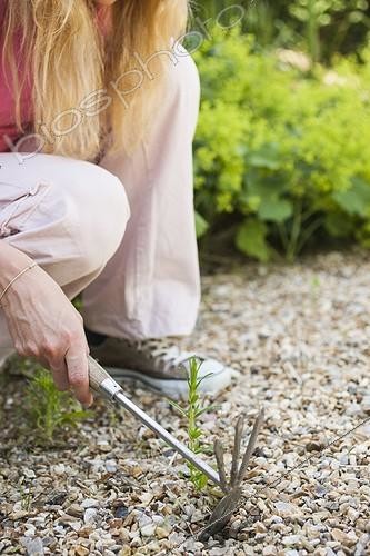Biosphoto | 2047621 | Woman weeding her gravel path | &copy; Jean-Michel Groult / Biosphoto
