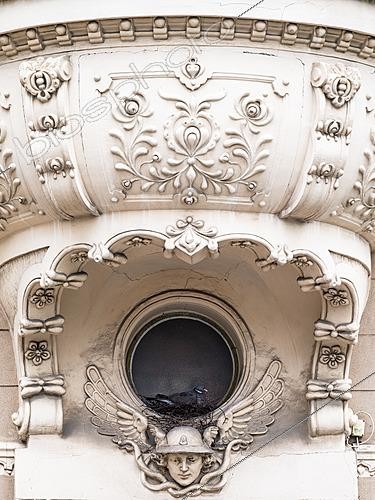 Biosphoto | 2626692 | Wood pigeon (Columba palumbus) nesting in an oculus, Slovakia. | &copy; Ervin Horesnyík / Biosphoto