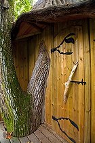 Biosphoto | 1251238 | Wood shed at 8 meters high in a oak | &copy; Franck Fouquet / Biosphoto