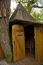 Biosphoto | 1251240 | Wood shed at 8 meters high in a oak | &copy; Franck Fouquet / Biosphoto