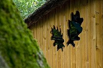 Biosphoto | 1251242 | Wood shed at 8 meters high in a oak | &copy; Franck Fouquet / Biosphoto
