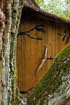 Biosphoto | 1251243 | Wood shed at 8 meters high in a oak | &copy; Franck Fouquet / Biosphoto