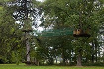 Biosphoto | 1251251 | Wood shed at 8 meters high in a oak | &copy; Franck Fouquet / Biosphoto