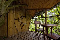 Biosphoto | 1251254 | Wood shed at 8 meters high in a Plane tree | &copy; Franck Fouquet / Biosphoto