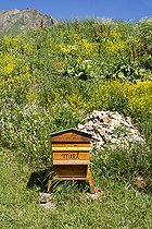 Biosphoto | 2588012 | Wooden beehive with Miel (honey) written on it on the Col du Lautaret, in Villar-d'Arene, France. | &copy; Antoine Boureau / Biosphoto