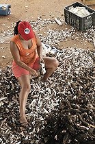 Biosphoto | 1600843 | Worker, woman with cap of the MST, of the COOPAC cooperative peeling cassava or manioc roots (Manihot esculenta) for the production of manioc flour, settlement of the Brazilian Landless Workers' Movement Movimento dos Trabalhadores Rurais sem Terra, MST, Assentamento 14 de Agosto, Campo Verde, Mato Grosso, Brazil, South America | &copy; Florian Kopp / imageBROKER / Biosphoto