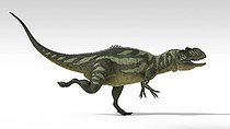 Biosphoto | 2477276 | Yangchuanosaurus, dinosaur, white background. | &copy; Kostyantyn Ivanyshen / Stocktrek Images / Biosphoto