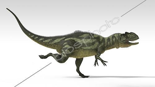 Biosphoto | 2477276 | Yangchuanosaurus, dinosaur, white background. | &copy; Kostyantyn Ivanyshen / Stocktrek Images / Biosphoto