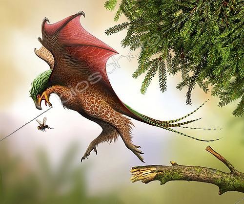 Biosphoto | 2478010 | Yi qi hunting flies. Yi is a genus of scansoriopterygid dinosaurs from the Late Jurassic of China. | &copy; Mohamad Haghani / Stocktrek Images / Biosphoto